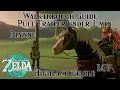Tears Of The Kingdom Horse Pull Trailer Under 1 min - Blynne