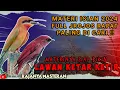 Download Lagu MATERI JUARA NASIONAL 2024!! MASTERAN TEMBAKAN RAPAT MASTERAN BURUNG LOMBA - FULL JROJOS