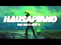 Kvng Vinci ft Zerrydl - Hausapiano Remix(lyrics)