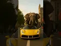 Download Lagu DOLU IN LONDON  | #ai #elephantdance #reel #shorts