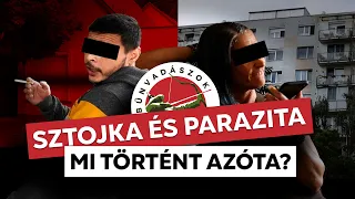 SZTOJKA és PARAZITA. Mi történt azóta?🔍