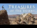 Desert camping among wild carnivores and buried treasure