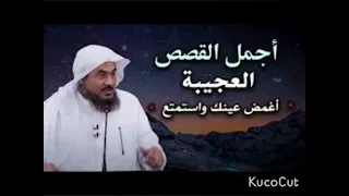 اسمع أجمل القصص العجيبة أغمض عينك واستمتع قصص مدهشة قبل النوم مع الشيخ عبد الرحمن الباهلي 