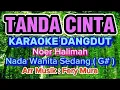 Download Lagu TANDA CINTA Karaoke Dangdut Original - Noer Halimah - Nada Sedang Cewek ( G# )