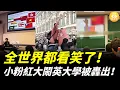 Download Lagu 小粉紅大鬧英國大學 ！結果被轟出教室！全世界都看笑了……