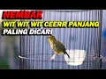 Download Lagu PANCINGAN PLECI NEMBAK WIT WIT CEERR PANJANG , MASTERAN PLECI PALING DICARI !!!