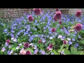 Top tips for designing a new border