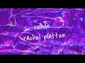 Collide - Rachel Platten [slightly edited]