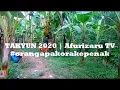 Download Lagu Takyun 2020 Full Episode | Obrolan Ngapak