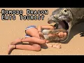 Komodo Dragon Eats Tourist