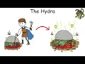 Every Monster From Greek Mythology Explained in 12 Minutes
