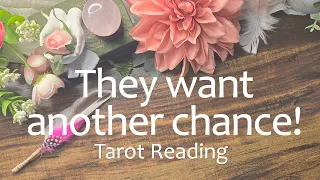 Their life wasn't together as you may have thought! They want another chance!👀🫤🌹