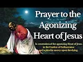Prayer to the Agonizing Heart of Jesus Have Pity on the Dying