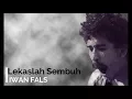 Download Lagu Iwan Fals - Lekaslah Sembuh + Lirik - Lagu Tidak Beredar