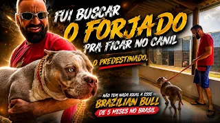 Não vi nenhum monster de 5 meses assim no Brasil 