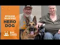 Hero Dog Saved His Owner From Spokane Wildfires We Helped Shadow Recover