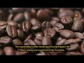 MIND-BLOWING Coffee Secrets Revealed to Elevate Your Brew