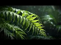 Download Lagu Night Rain Through Trees – Piano Dreams 🌌🌧️🌳🎹