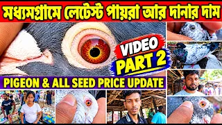 মধ্যমগ্রাম হাটে পায়রার দাম 🕊️দাম কম সেরা পায়রা 🕊️ Madhyamgram Pigeon Market Visit, Kolkata🦜18/10/26