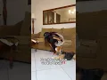 Download Lagu PRANK PURA-PURA GA LIAT RYUKI‼️🥺 #shorts