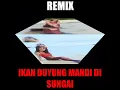 Download Lagu IKAN DUYUNG MANDI DI SUNGAI-REMIX
