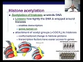 AP Biology Chapter 9 Eukaryotic Gene Expression in the Nucleus