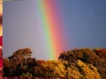 Download Lagu TILL THE END OF TIME - Earl Grant (Lyrics)