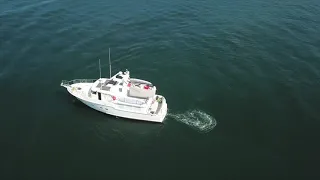 Attack of the Drone