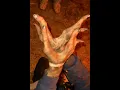 That Mexican OT Meets Lobster Boy The Sausage Castle Aka Mike Busey s House