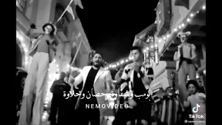 عنبه ومصطفى حجاج حالات واتس المولد عنبه مصطفى حجاج 