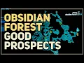 Good Prospects Obsidian Forest Borderlands 3