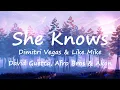 Download Lagu Dimitri Vegas \u0026 Like Mike, David Guetta, Afro Bros \u0026 Akon - She Knows (Lyrics Video)