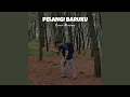Download Lagu PELANGI BARUKU