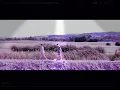 She moves in her own way. ~ max and Harvey ~.  (. Official Music Video)