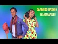 Download Lagu Daamxoo Dassee /Shammaane/ New African Ethiopian Oromo music 🎶 (2025)Official Video