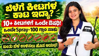 10+ ಕೀಟಗಳ ನಿಯಂತ್ರಣಕ್ಕೆ ಹೊಸ ಫಾರ್ಮುಲಾ | Sperto Insecticide Kannada Review