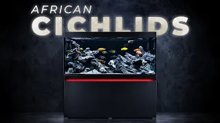 Building a 430-liter African Cichlid Aquascape