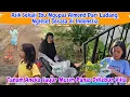 Download Lagu Tanam Aneka Sayur Musim Panas Di Villa Kami Ditemani Ibu Ngupas Almond