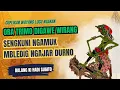 Lagu Wayang Lucu Ki Hadi Sugito - Ora Trimo Digawe Wirang, Sengkuni Ngajar Durno Sak Kayange