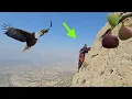 Download Lagu 🪨🌿 Fatemeh, the Cliff-Climber of Love — Figs from the Mountain for Her Family’s Table