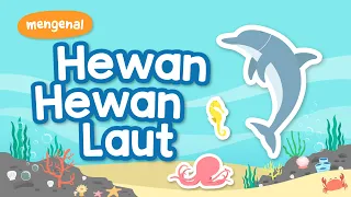 belajar mengenal nama hewan laut kartun anak muslim yufid kids
