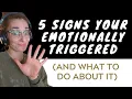 Emotional Triggers Explained 5 Warning Signs Tools to Cope