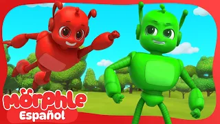 Morphle en VIVO🔴 Morphle VS Orphle 🌟  Morphle en Español