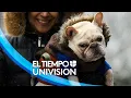 Tiempo en Dallas Texas para esta manana el pronostico del viernes 18 de noviembre de 2022