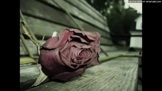 اذا اشوفك اموتك بوس  ماجد المهندس دندنها