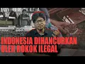Download Lagu Rokok ilegal Menghancurkan Ekonomi Dan Sosial