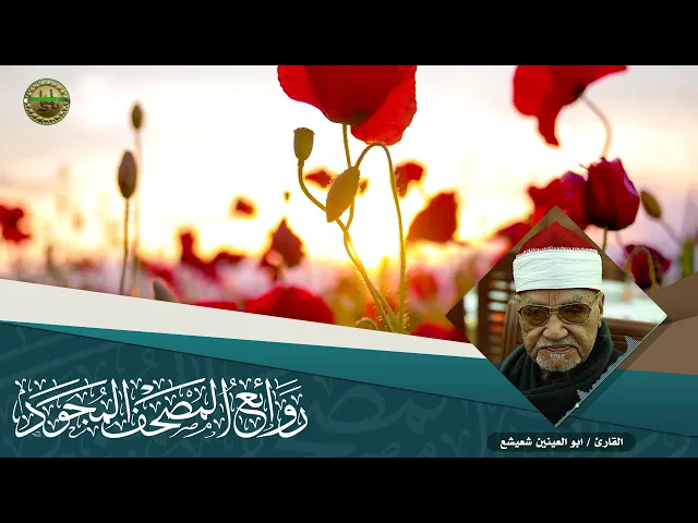 ⁣القارئ | ابو العينين شعيشع