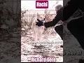 🌟 Richard Gere the last scene with Hachi ❣️ #richardgere #movie #shorts