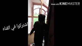 صعيدى علي حق يابوي دندنها