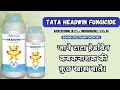 Download Lagu TATA HEADWIN FUNGICIDE/ AZOXYSTROBIN 18.2% + DIFENCONAZOLE 11.4% SC/ RALLIS HEADWIN FUNGICIDE/